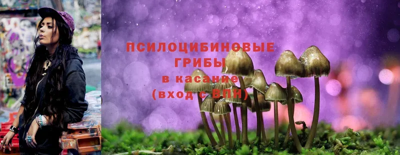 Галлюциногенные грибы Magic Shrooms  Когалым 